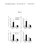 BIOMARKER OF Nrf2 ACTIVATION diagram and image