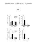 BIOMARKER OF Nrf2 ACTIVATION diagram and image