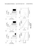 ULCERATIVE COLITIS (UC)-ASSOCIATED COLORECTAL NEOPLASIA MARKERS diagram and image