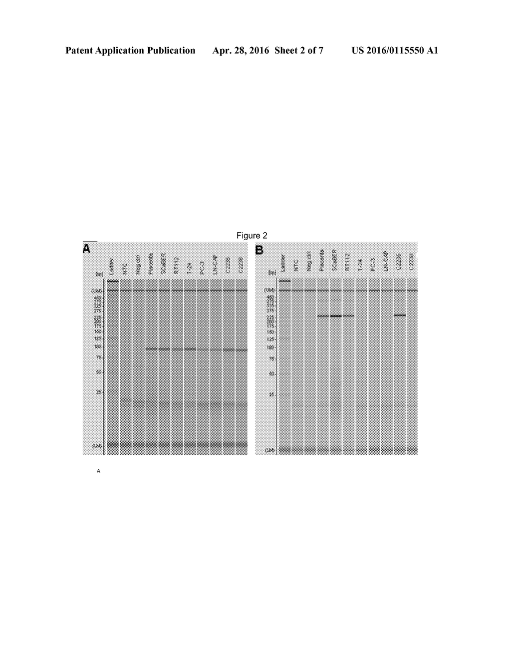 cgb2 And cgb1 Genes; Diagnosis, Monitoring And Treatment Of Cancer - diagram, schematic, and image 03