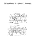 MULTI-LAYER PRESSURE ACTUATED EXTENDABLE HOSE diagram and image