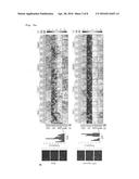 ARRAYS OF DISCRETE CELL CULTURE MICROENVIRONMENTS, METHOD OF MAKING SUCH     ARRAYS AND USES THEREOF diagram and image