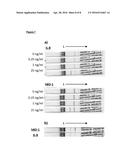 LATERAL FLOW ASSAY DEVICE diagram and image