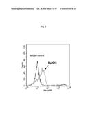 REAGENT INCLUDING ANTI-LGR6 ANTIBODIES FOR DETECTION AND DIAGNOSIS OF     CANCER diagram and image