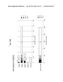 REAGENT INCLUDING ANTI-LGR6 ANTIBODIES FOR DETECTION AND DIAGNOSIS OF     CANCER diagram and image