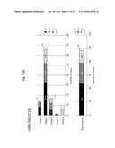 REAGENT INCLUDING ANTI-LGR6 ANTIBODIES FOR DETECTION AND DIAGNOSIS OF     CANCER diagram and image