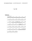 REAGENT INCLUDING ANTI-LGR6 ANTIBODIES FOR DETECTION AND DIAGNOSIS OF     CANCER diagram and image