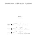 SYSTEMS AND METHODS FOR CHARACTERIZING KIDNEY DISEASES diagram and image