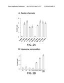 COMPOSITIONS, METHODS, AND ASSAYS FOR ANALYZING THE STRUCTURE, FUNCTION,     AND ACTIVITY OF MEMBRANE PROTEINS diagram and image