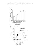 COMPOSITIONS, METHODS, AND ASSAYS FOR ANALYZING THE STRUCTURE, FUNCTION,     AND ACTIVITY OF MEMBRANE PROTEINS diagram and image