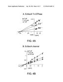 COMPOSITIONS, METHODS, AND ASSAYS FOR ANALYZING THE STRUCTURE, FUNCTION,     AND ACTIVITY OF MEMBRANE PROTEINS diagram and image