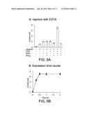 COMPOSITIONS, METHODS, AND ASSAYS FOR ANALYZING THE STRUCTURE, FUNCTION,     AND ACTIVITY OF MEMBRANE PROTEINS diagram and image