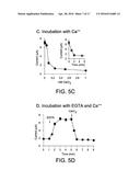 COMPOSITIONS, METHODS, AND ASSAYS FOR ANALYZING THE STRUCTURE, FUNCTION,     AND ACTIVITY OF MEMBRANE PROTEINS diagram and image