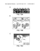 COMPOSITIONS, METHODS, AND ASSAYS FOR ANALYZING THE STRUCTURE, FUNCTION,     AND ACTIVITY OF MEMBRANE PROTEINS diagram and image