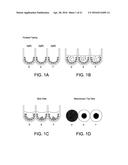 METHODS AND DEVICES FOR IMMUNODIAGNOSTIC APPLICATIONS diagram and image