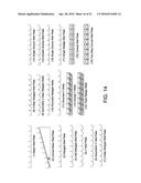 METHODS AND DEVICES FOR IMMUNODIAGNOSTIC APPLICATIONS diagram and image