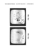 METHODS AND DEVICES FOR IMMUNODIAGNOSTIC APPLICATIONS diagram and image