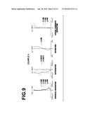 IMAGING LENS AND IMAGING APPARATUS EQUIPPED WITH THE IMAGING LENS diagram and image