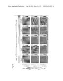 METHOD FOR TREATING SURFACE OF SILICON-CARBIDE SUBSTRATE diagram and image