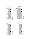 Method for Forming Contact Vias diagram and image