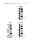 Method for Forming Contact Vias diagram and image