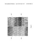 HETEROJUNCTION OXIDE NON-VOLATILE MEMORY DEVICE diagram and image