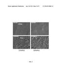 ELECTROPHORETIC DEPOSITION OF THIN FILM BATTERIES diagram and image