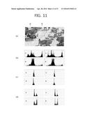 IMAGE INFORMATION ENCODING AND DECODING METHOD diagram and image