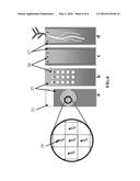 DEVICE FOR PHYTO-ECOLOGICAL MONITORING diagram and image