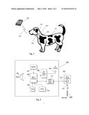 Companion Animal Health Monitoring System diagram and image
