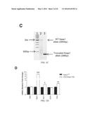 COMPOSITIONS AND METHODS FOR THE STUDY AND TREATMENT OF ACUTE KIDNEY     INJURY diagram and image