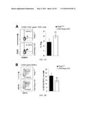 COMPOSITIONS AND METHODS FOR THE STUDY AND TREATMENT OF ACUTE KIDNEY     INJURY diagram and image