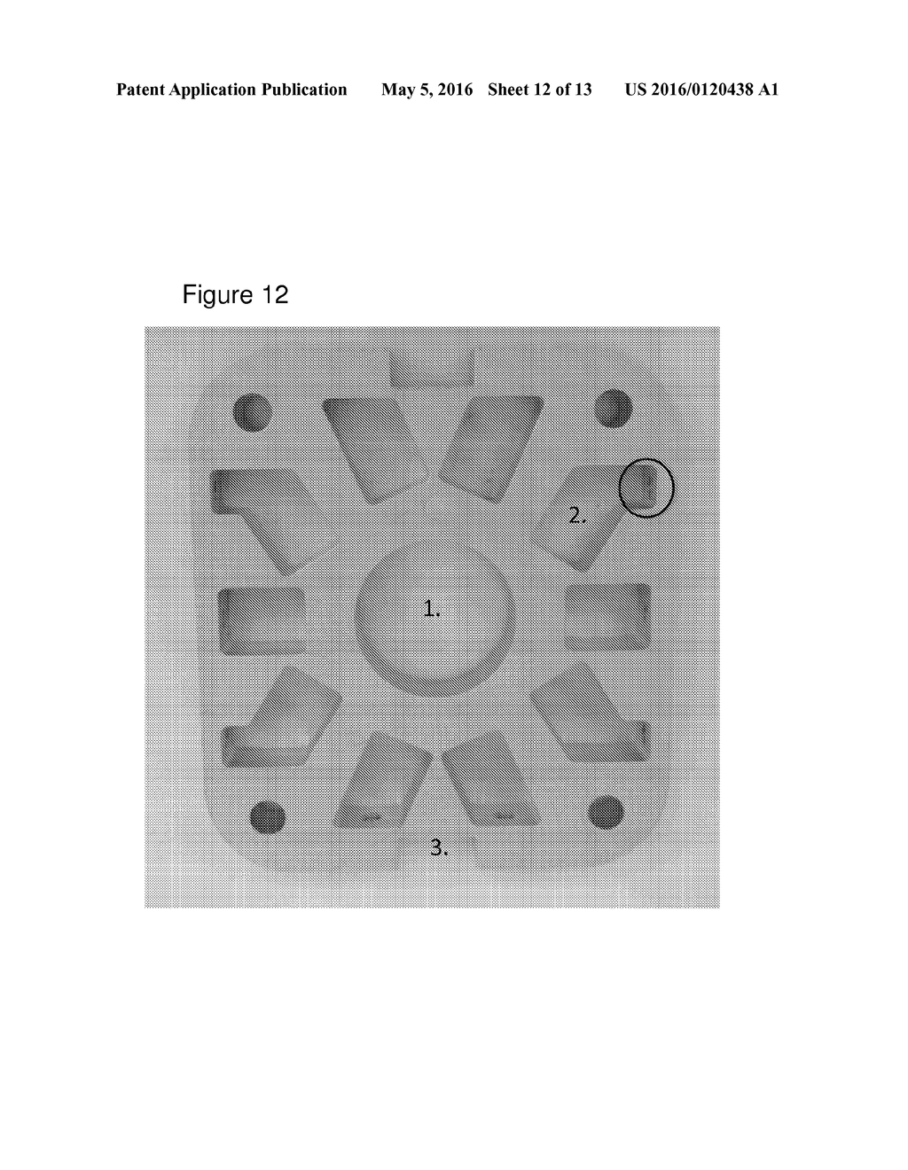 NMR SENSOR AND METHODS FOR RAPID, NON-INVASIVE DETERMINATION OF HYDRATION     STATE OR VASCULAR VOLUME OF A SUBJECT - diagram, schematic, and image 13