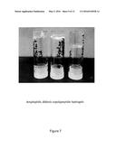 Hydrogel Pressure Sealant System diagram and image