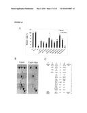 Anti-Fibrogenic Compounds, Methods and Uses Thereof diagram and image