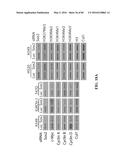 Novel Suicidal LSD1 Inhibitors Targeting SOX2-Expressing Cancer Cells diagram and image