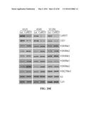 Novel Suicidal LSD1 Inhibitors Targeting SOX2-Expressing Cancer Cells diagram and image