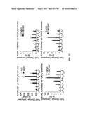 Novel Suicidal LSD1 Inhibitors Targeting SOX2-Expressing Cancer Cells diagram and image