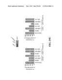 Novel Suicidal LSD1 Inhibitors Targeting SOX2-Expressing Cancer Cells diagram and image