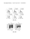 Novel Suicidal LSD1 Inhibitors Targeting SOX2-Expressing Cancer Cells diagram and image