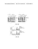 Novel Suicidal LSD1 Inhibitors Targeting SOX2-Expressing Cancer Cells diagram and image