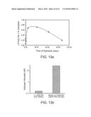 Reactive Oxidative Species Generating Materials and Methods of Use diagram and image