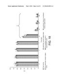 TREATING A LYMPHOMA WITH A WHOLE, LEECH SALIVA EXTRACT diagram and image