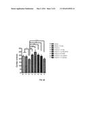 COMPOSITIONS AND METHODS COMPRISING BACTERIA FOR IMPROVING BEHAVIOR IN     NEURODEVELOPMENTAL DISORDERS diagram and image