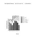 COMPOSITIONS AND METHODS COMPRISING BACTERIA FOR IMPROVING BEHAVIOR IN     NEURODEVELOPMENTAL DISORDERS diagram and image