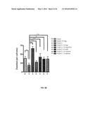 COMPOSITIONS AND METHODS COMPRISING BACTERIA FOR IMPROVING BEHAVIOR IN     NEURODEVELOPMENTAL DISORDERS diagram and image