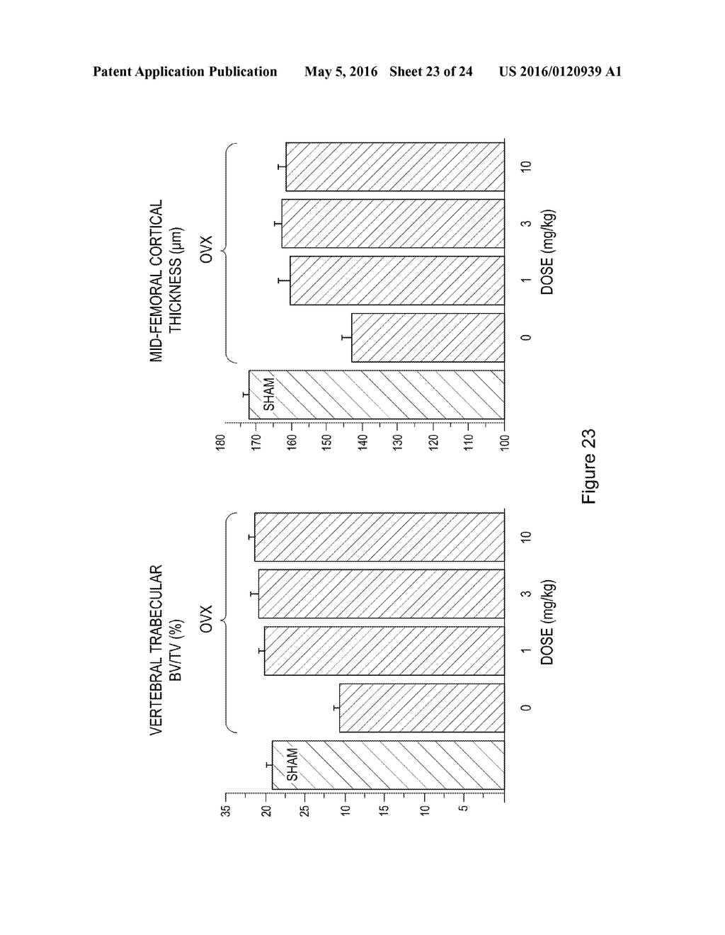 METHOD FOR PROMOTING BONE GROWTH USING ACTIVIN-ACTRIIA ANTAGONISTS - diagram, schematic, and image 24