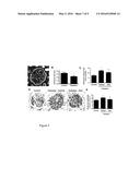 METHODS AND USES OF SLIT FOR TREATING FIBROSIS diagram and image