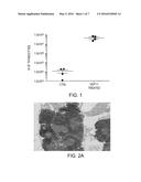 Thymic Regeneration diagram and image