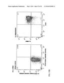 IL-12 COMPOSITIONS AND METHODS OF USE IN HEMATOPOIETIC RECOVERY diagram and image